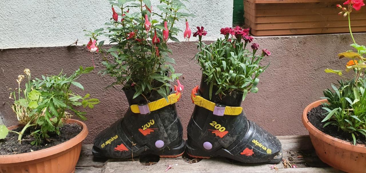 Feherkolapa Turistahaz Panzio Hostel Lillafüred