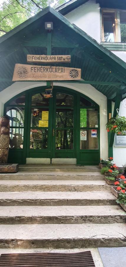 Feherkolapa Turistahaz Panzio * Lillafüred